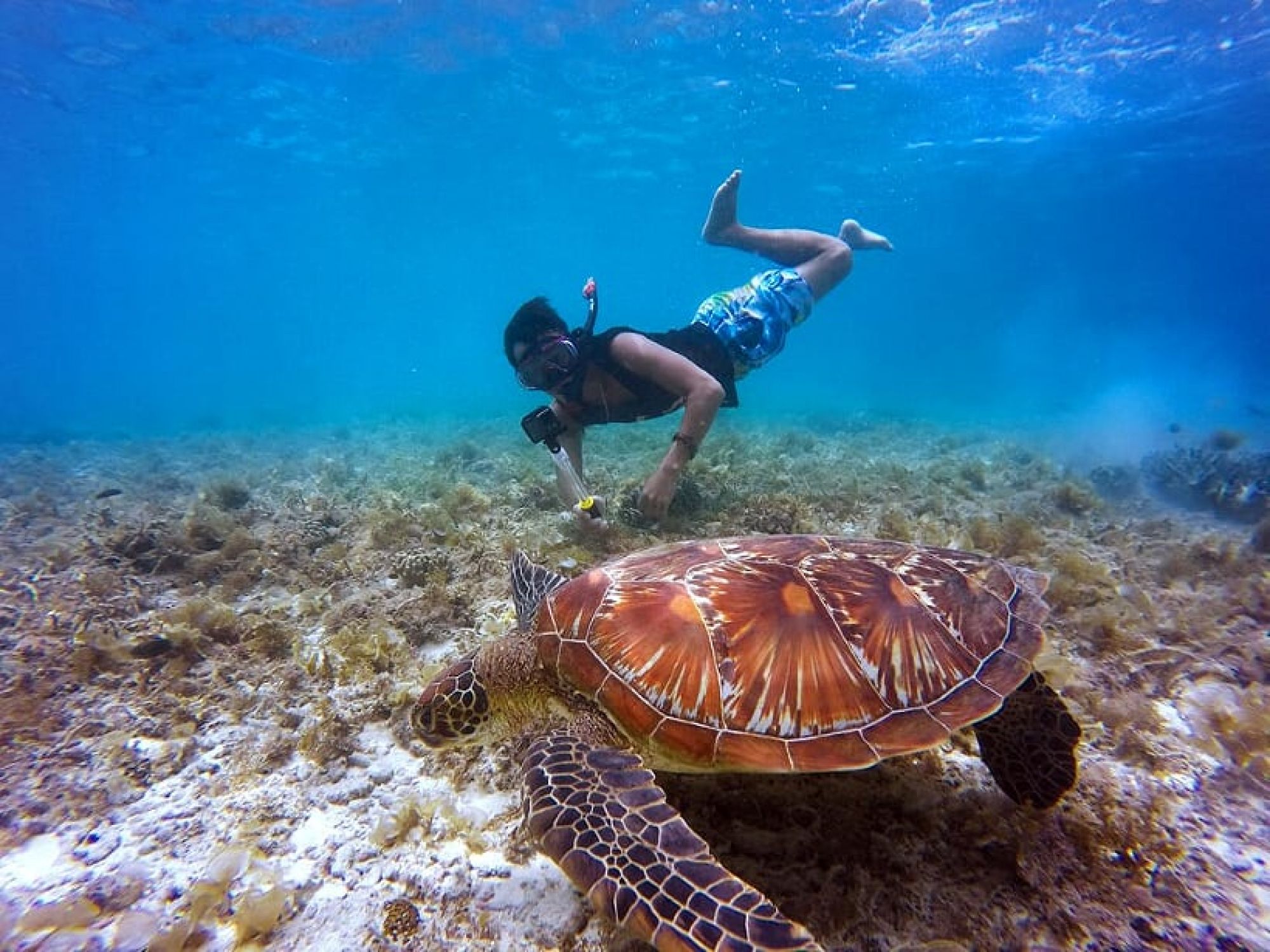 Snorkelling in Australia - Live an Exciting Experience