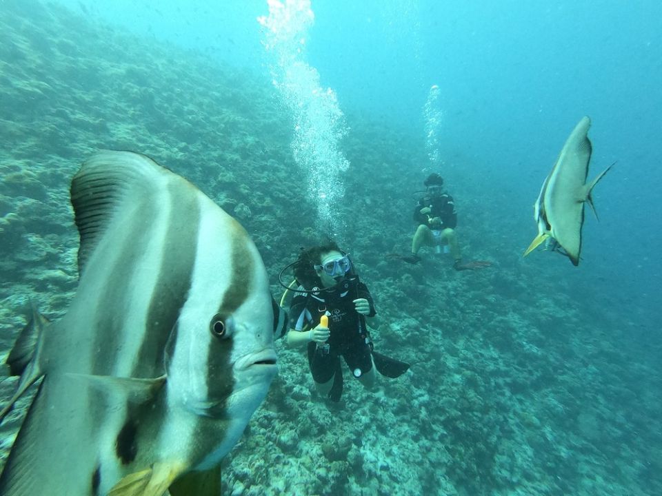 The best underwater museums for diving