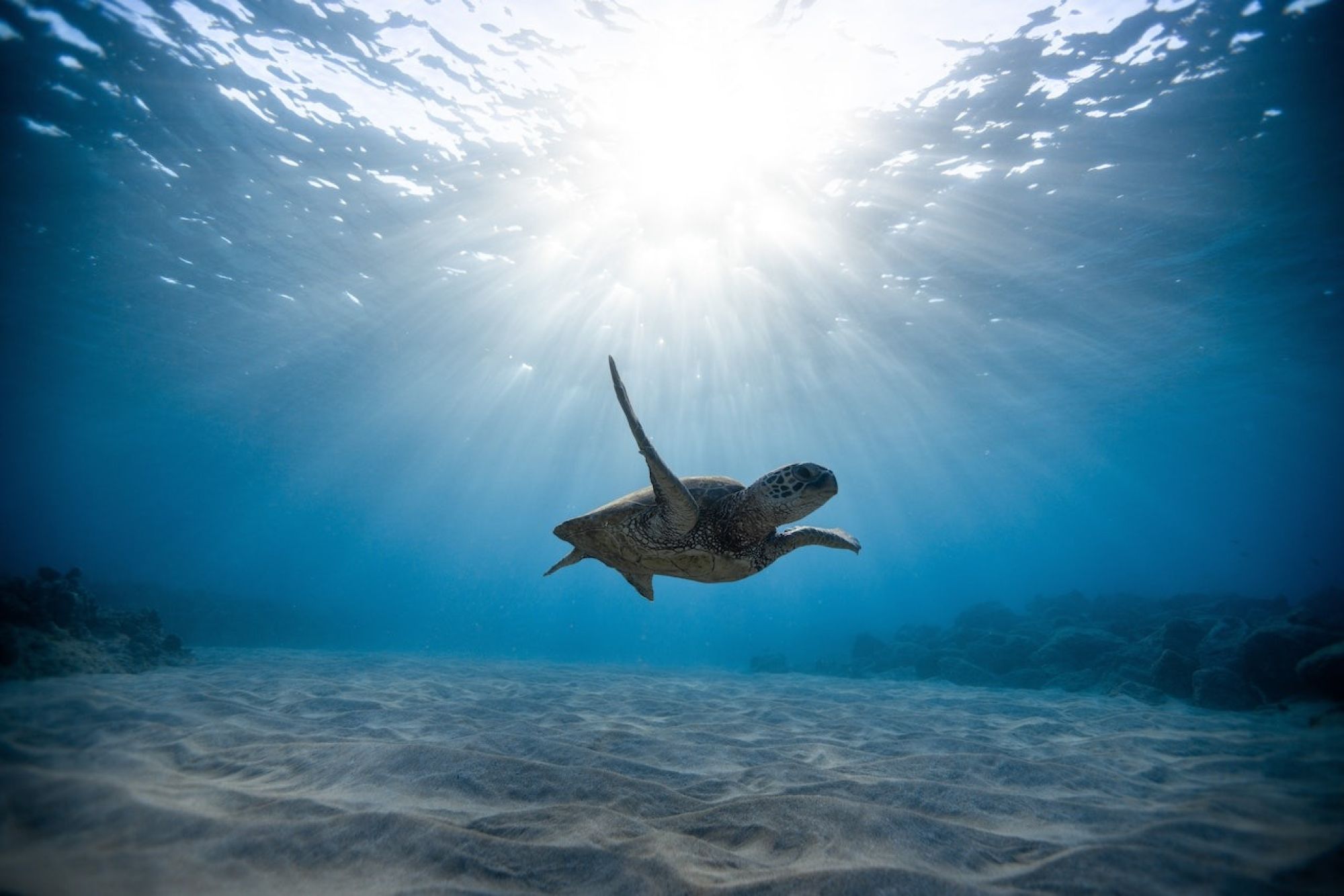 How swimming improves mental health